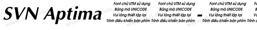 SVN Aptima 常规字体转换